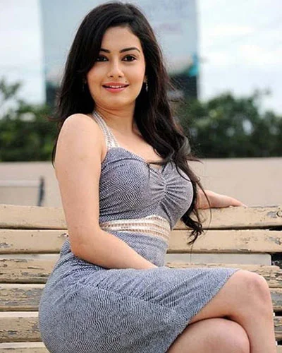 Call Girls in raipur